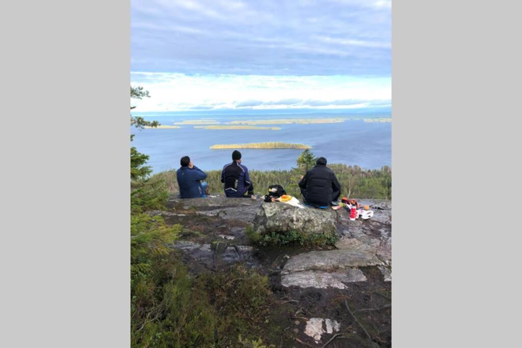 Kolin Pikkukolo - Saunallinen Studiohuoneisto Kolinkylä Exteriör bild